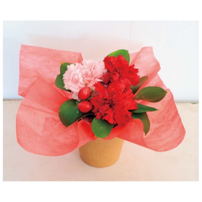 【T-4】【母の日】アレンジメント(イチゴミルク)-承り締切:2026年4月30日