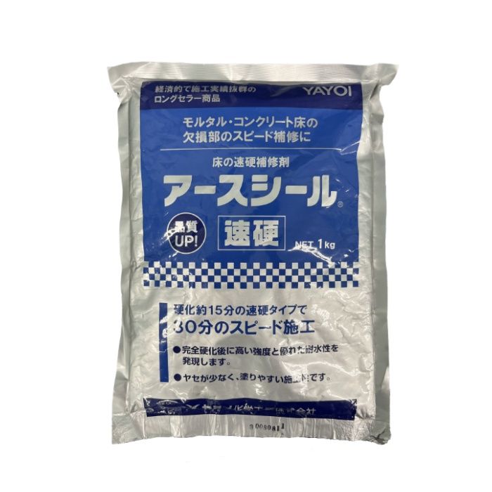 アースシール速硬 1kg