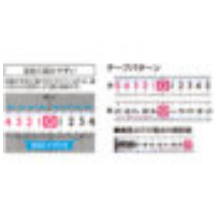シンワ測定 コンベフィットギア 100切り目盛 19巾の説明画像4