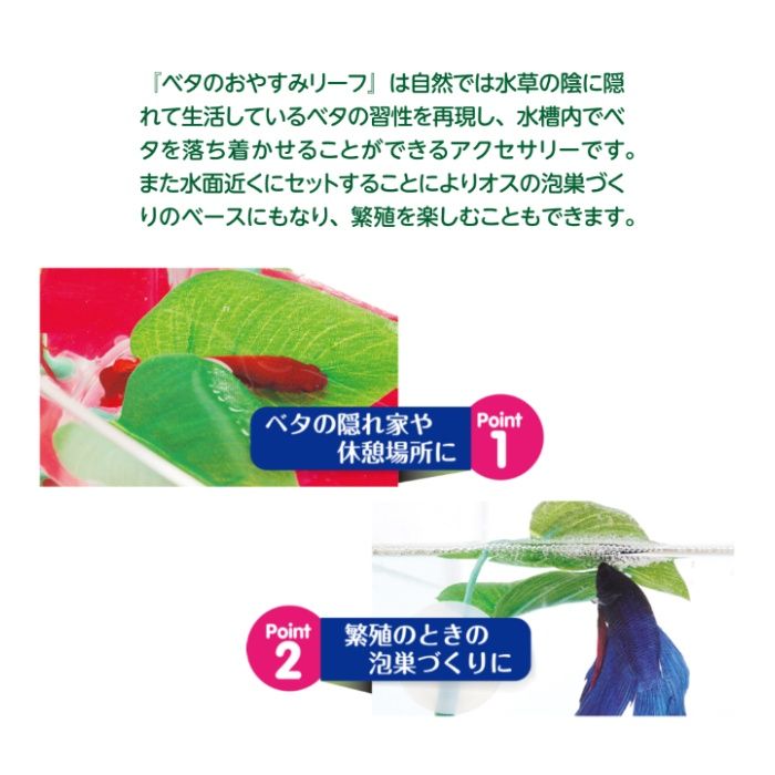 スイサク ベタのおやすみリーフ 1Pの説明画像2