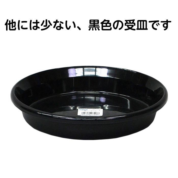 鉢皿F型　黒　6号