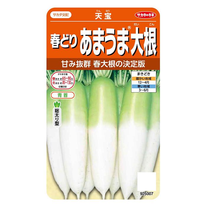 サカタのタネ 春どりあまうま大根 天宝