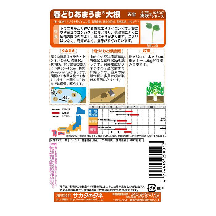 サカタのタネ 春どりあまうま大根 天宝の説明画像2