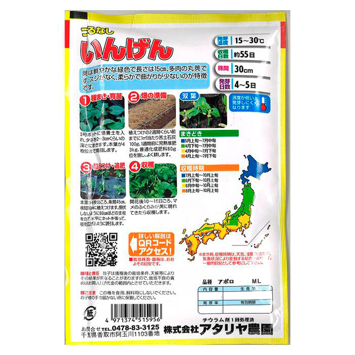 インゲン 特大袋つるなしいんげんの説明画像2