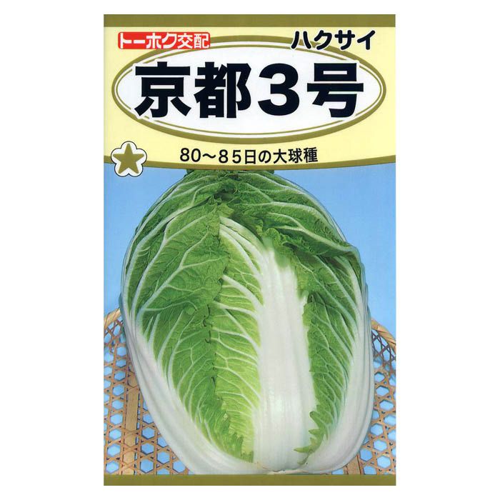 ハクサイ 京都3号郷秋