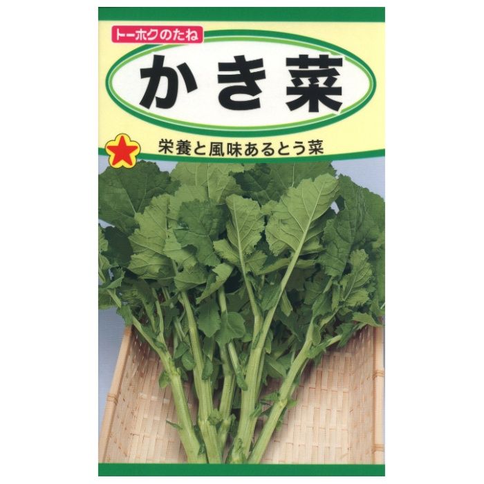 ヨウサイルイ かき菜