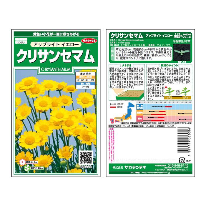クリサンセマム アップライトイエロー