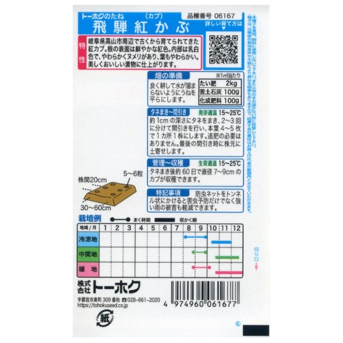カブ 飛騨紅かぶの説明画像2