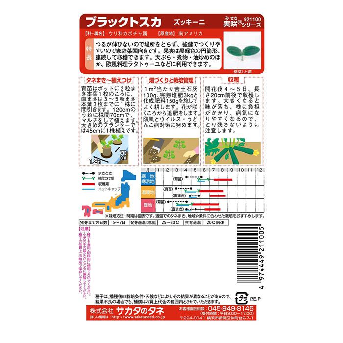 サカタのタネ ブラックトスカ ズッキーニの説明画像2
