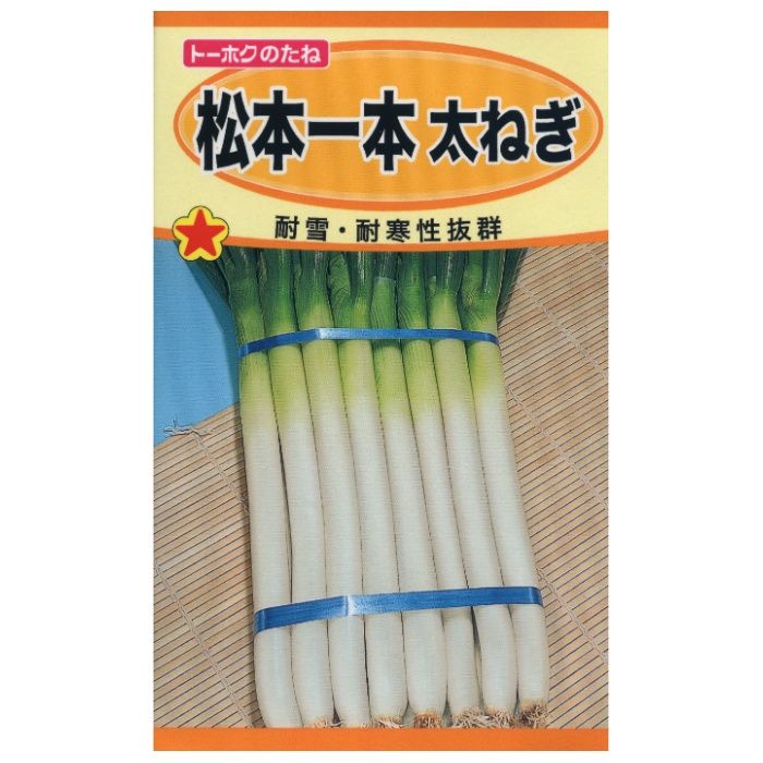 トーホク ネギ 浅黄九条細ねぎ ＜葉野菜の種＞の通販