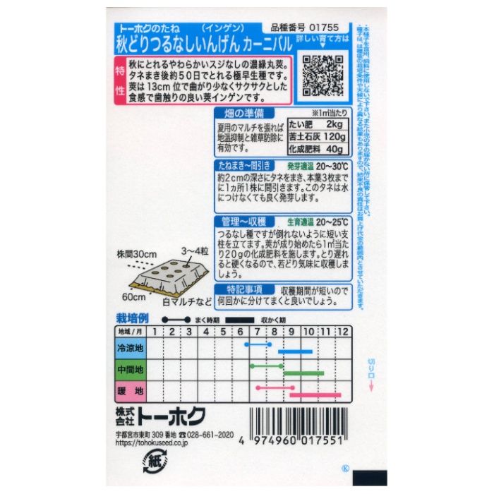 インゲン 秋どりつるなしいんげん カーニバルの説明画像2