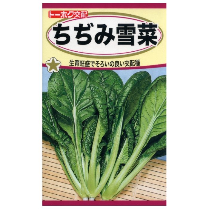 ヨウサイルイ ちぢみ雪菜