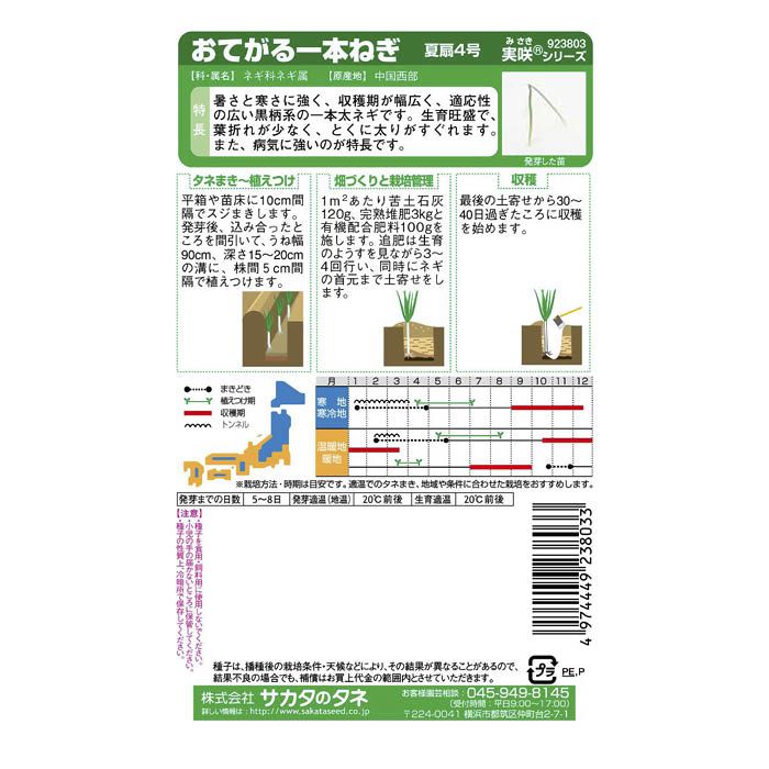 サカタのタネ おてがる一本ねぎ 夏扇4号の説明画像2