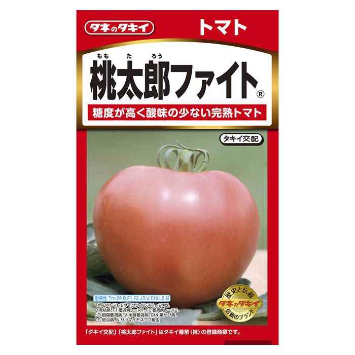 トマト 桃太郎ファイト