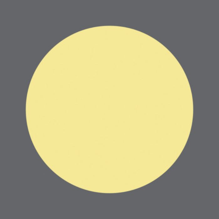 緑十字 船舶用蓄光標識 ●丸印 船1902 55×55mm エンビ(Tcode:8148828)