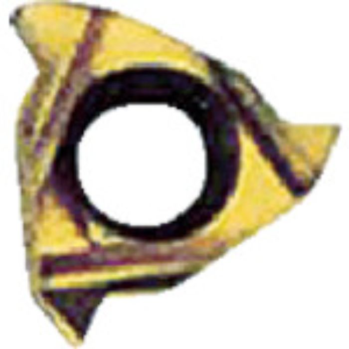 NOGA Carmexねじ切り用チップ ウイットねじ・管用平行ねじ用 チップサイズ8×18山×55°(Tcode:4033876)