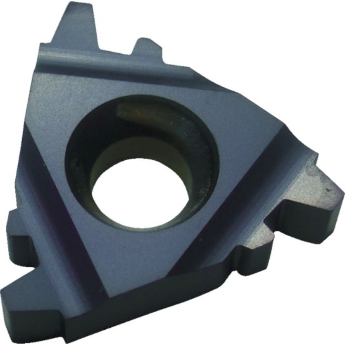 NOGA Carmexねじ切り用チップ TRAPEZ/台形ねじ用 チップサイズ22×P5.0×30°(Tcode:4035071)