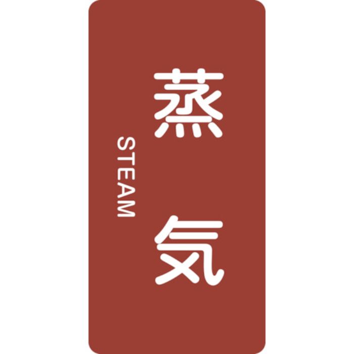 緑十字 JIS配管識別明示ステッカー 蒸気 HT-401L 120×60mm 10枚組 アルミ 英文字入(Tcode:1137968)