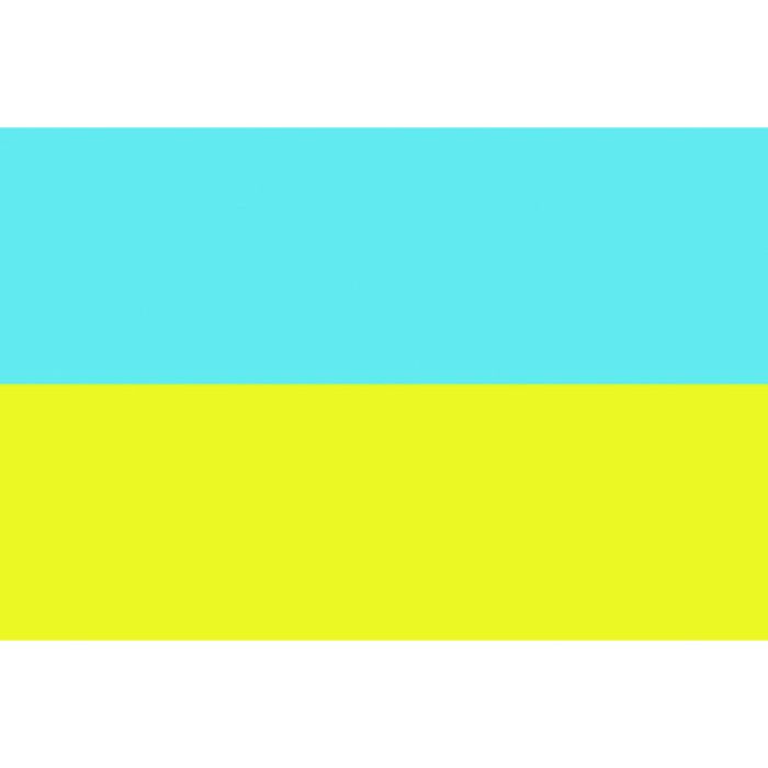 東京製旗 国旗No.1(70×105cm) ウクライナ(Tcode:2073749)