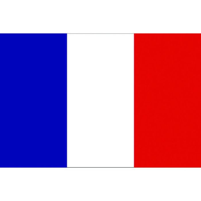 東京製旗 国旗No.1(70×105cm) フランス(Tcode:2073708)