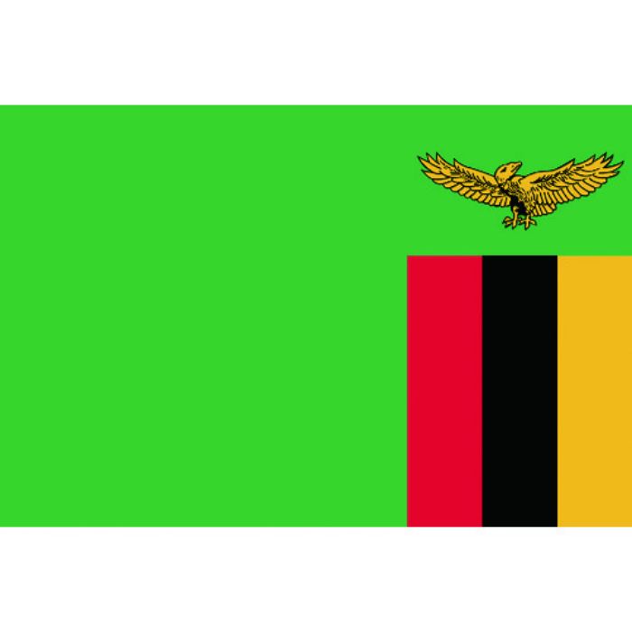 東京製旗 国旗No.2(90×135cm) ザンビア(Tcode:2073849)