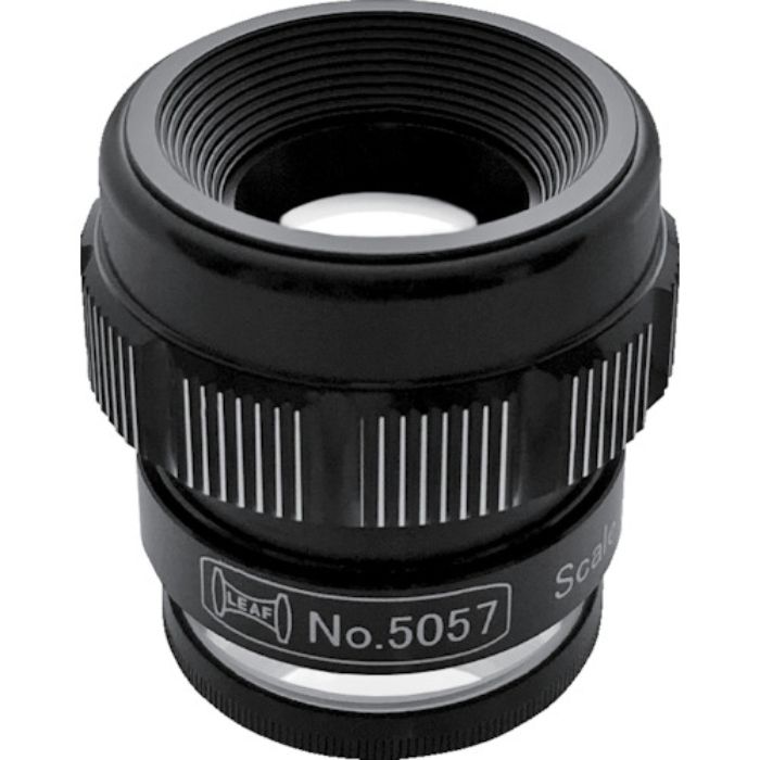 リーフ スケールルーペ(Tcode:2190842)