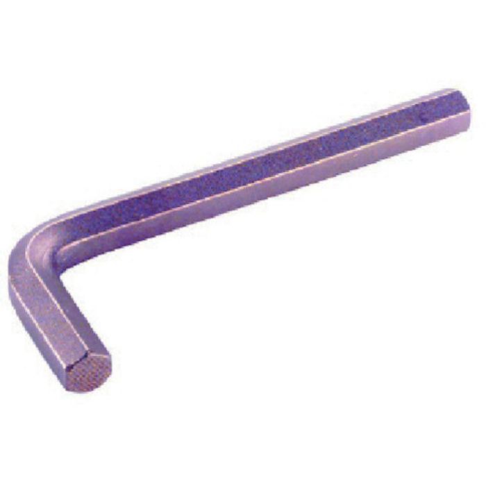 Ampco 六角レンチ10(Tcode:2804000)