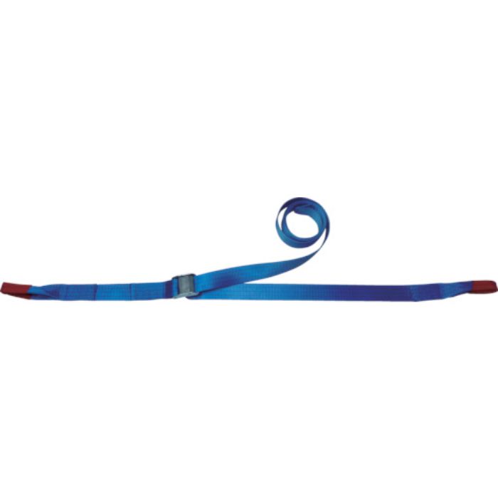 TESAC ラッシングベルト(ベルト荷締機)カムバックル式アイタイプ(Tcode:4333942)