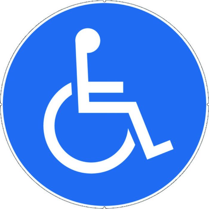 CAR-BOY カラープラポールサインキャッププレート 車イスマーク(Tcode:7566794)