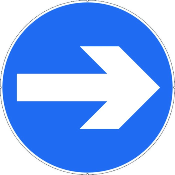 CAR-BOY カラープラポールサインキャッププレート 矢印(Tcode:7566832)