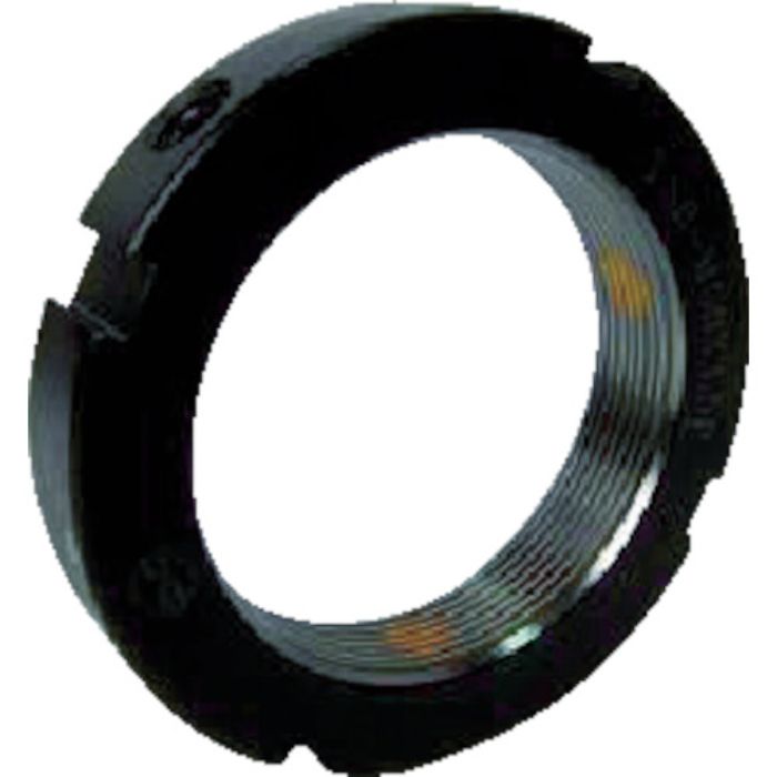 EVN ロックナット EPT 直角度0.005 M85×2(Tcode:4442890)