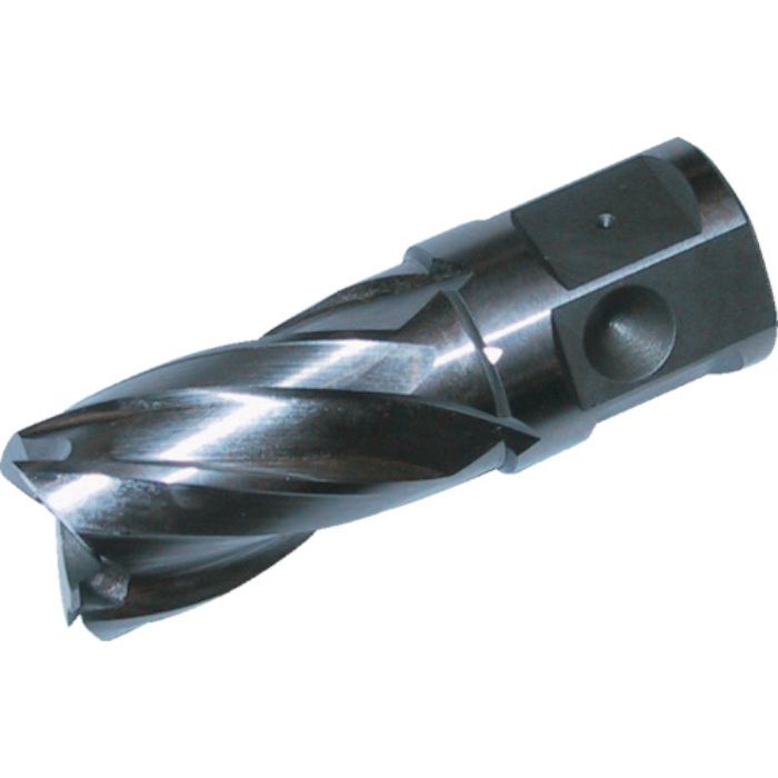 大見 25SQハイスカッター 刃径13.0mm(Tcode:2483157)