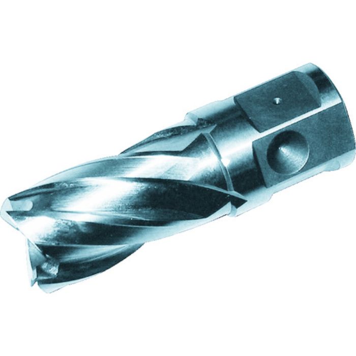 大見 25SQハイスカッター 刃径15.0mm(Tcode:2483181)