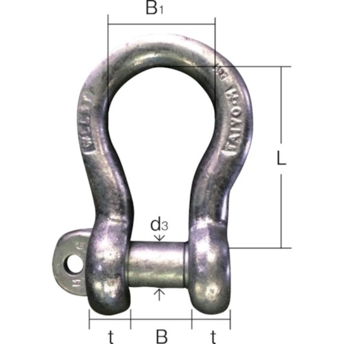 TAIYO JISシャックル M級 ドブ BC-6(1012509)(Tcode:8199965)
