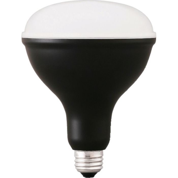 IRIS 574994 PROLEDS 投光器交換電球 2000lm(Tcode:3379589)