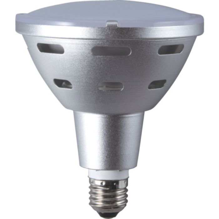 ハタヤ LED作業灯 20W交換球電球色広角タイプ(Tcode:1264997)