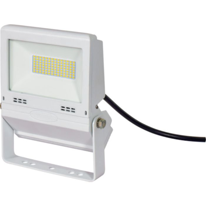 NICHIDO LED投光器 常設用フラットライト30W 白(Tcode:3329515)