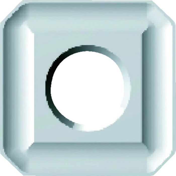 富士元 フェイス加工用Nタイプ並級チップ 超硬K種 NK1010(Tcode:7966067)