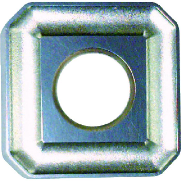 富士元 フェイス加工用Nタイプ並級チップ NK2001(Tcode:1113259)