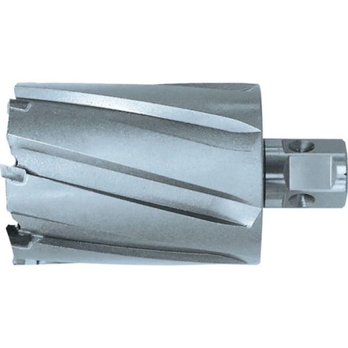 日東 ジェットブローチ 25.5X50L 42701(Tcode:7780320)