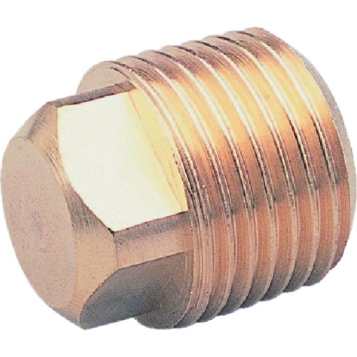 ASOH 四角プラグ PT3/8(Tcode:3741168)