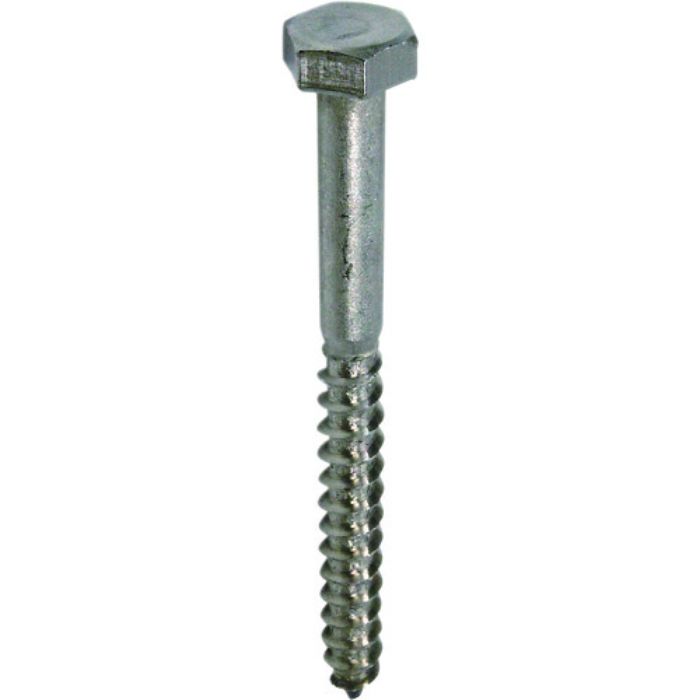 ダイドーハント ステンレス コーチスクリュー 6x50(10頭)(30本)(Tcode:2239769)
