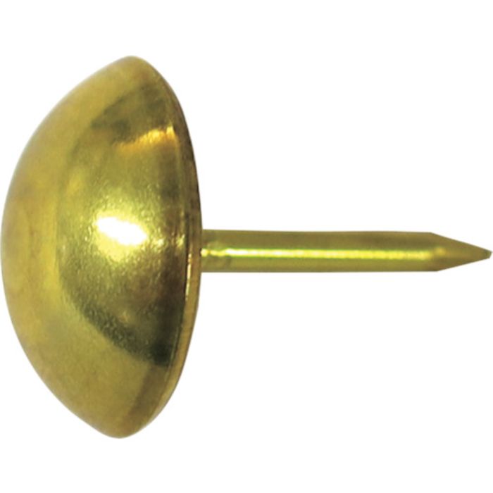 ダイドーハント HP 真鍮 太鼓鋲 13×19 6本入(Tcode:1176173)