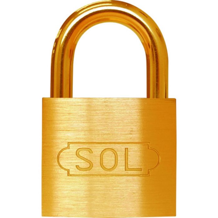 SOL NO.2500 共通同一錠 40(Tcode:8490152)