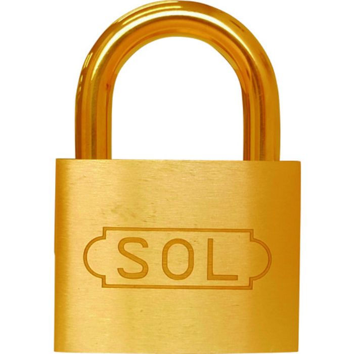 SOL NO.2500 共通同一錠 50(Tcode:8490154)