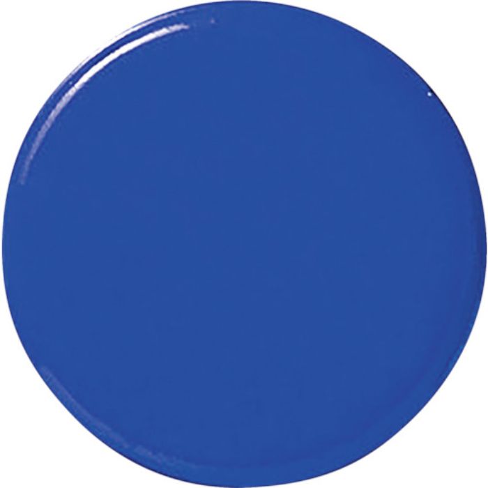 緑十字 強磁力カラーマグネット(ボタン型) 青 WMG-471BL 30Φ×7mm 2個組 両面磁力(Tcode:1137992)