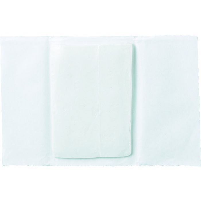 スガツネ工業 (210038864)99111コレクターホールドパテ(Tcode:3974278)