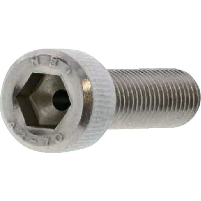 SUNCO SUSエアー抜きCAP (全ネジ) 4×8 (200本入)(Tcode:2417688)