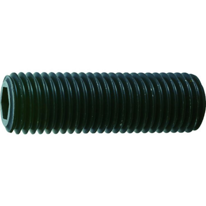 TRUSCO 六角穴付止めねじ 平先 黒染め M20×40 2本入(Tcode:1162665)