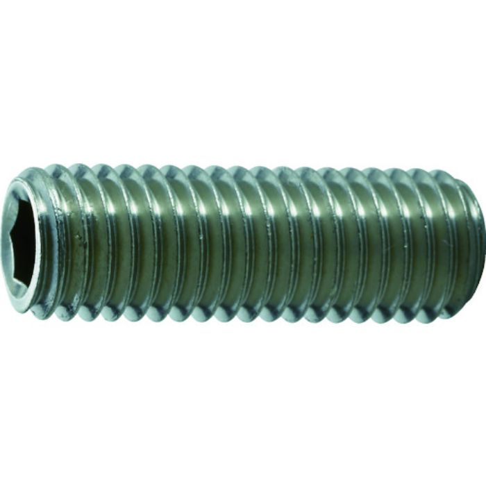 TRUSCO 六角穴付止めねじ 平先 ステンレス M10×20 10本入(Tcode:1162506)